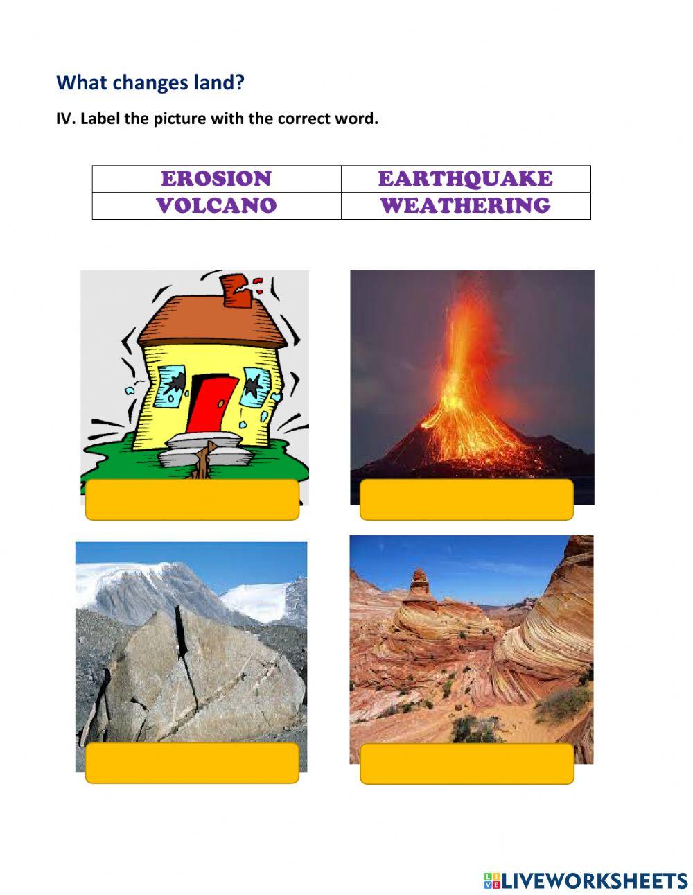 Science Quarterly exam 3