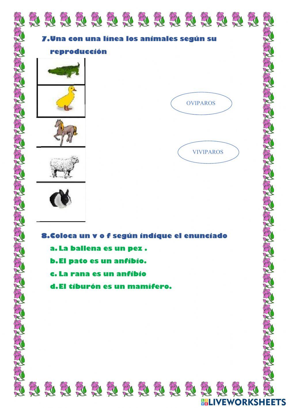 Evaluación Ciencias vertebrados tercero