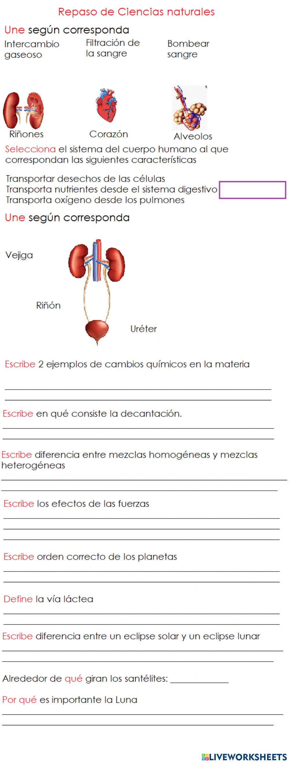 Repaso ciencias naturales