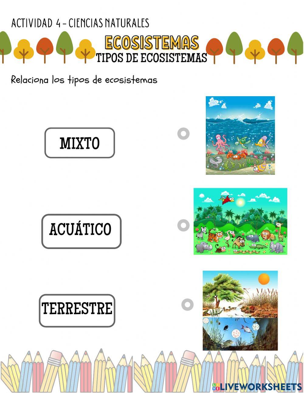 Ecosistemas Ecosistemas