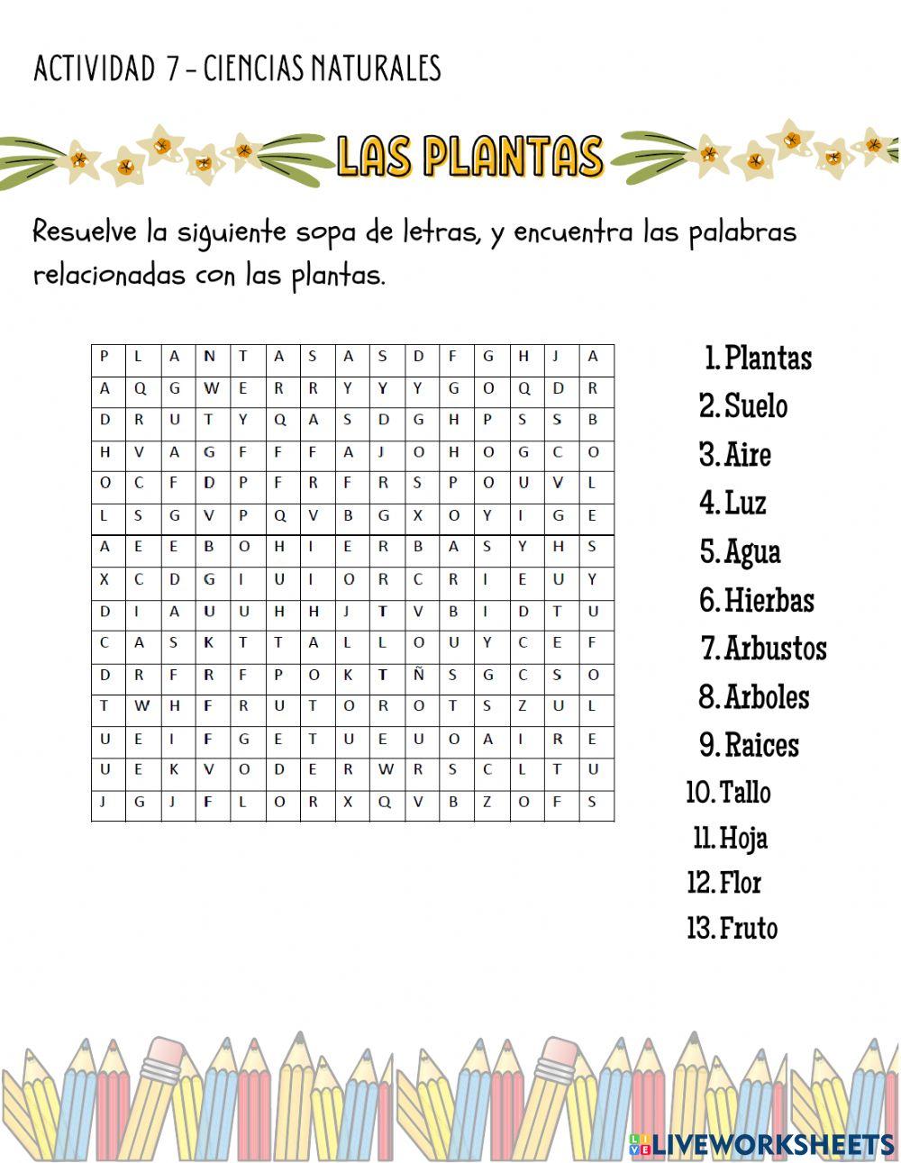 Partes de las plantas Partes de las plantas