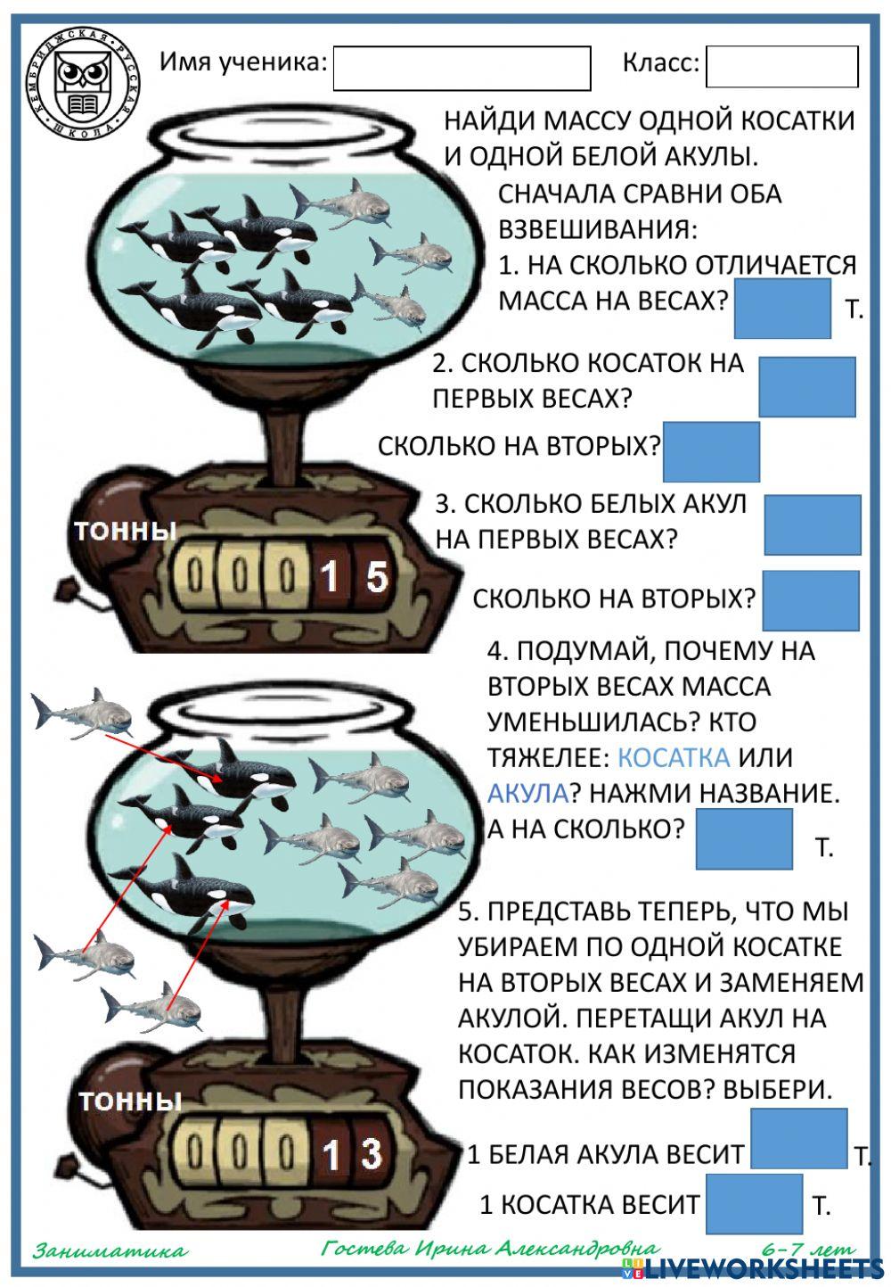 Косатки и акулы