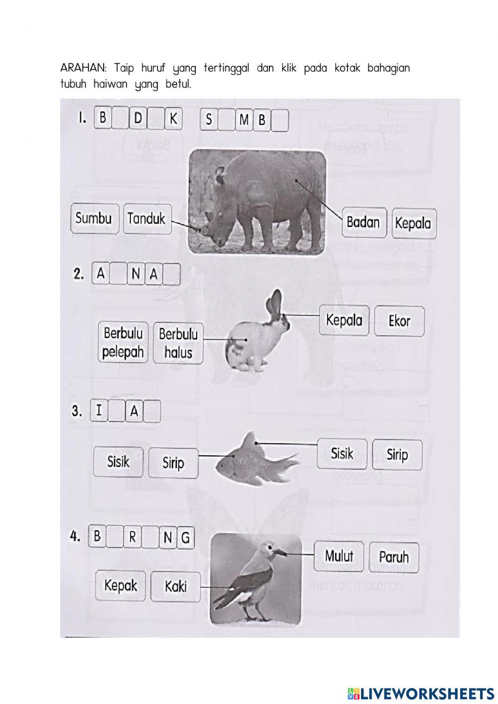 Bahagian tubuh haiwan