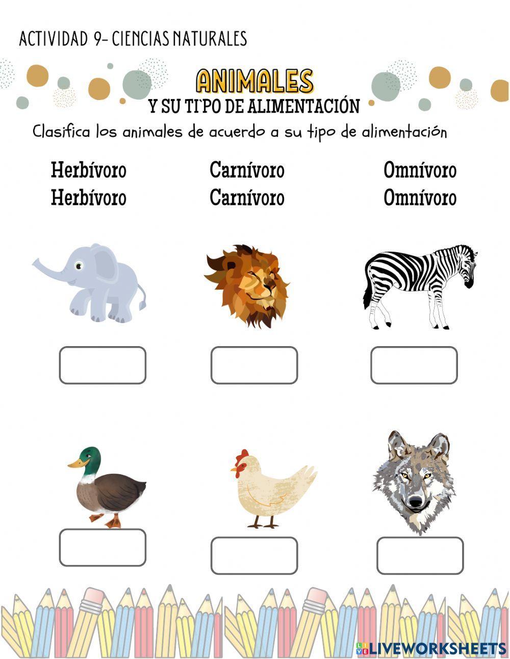 Clasificacion de animales Clasificacion de animales