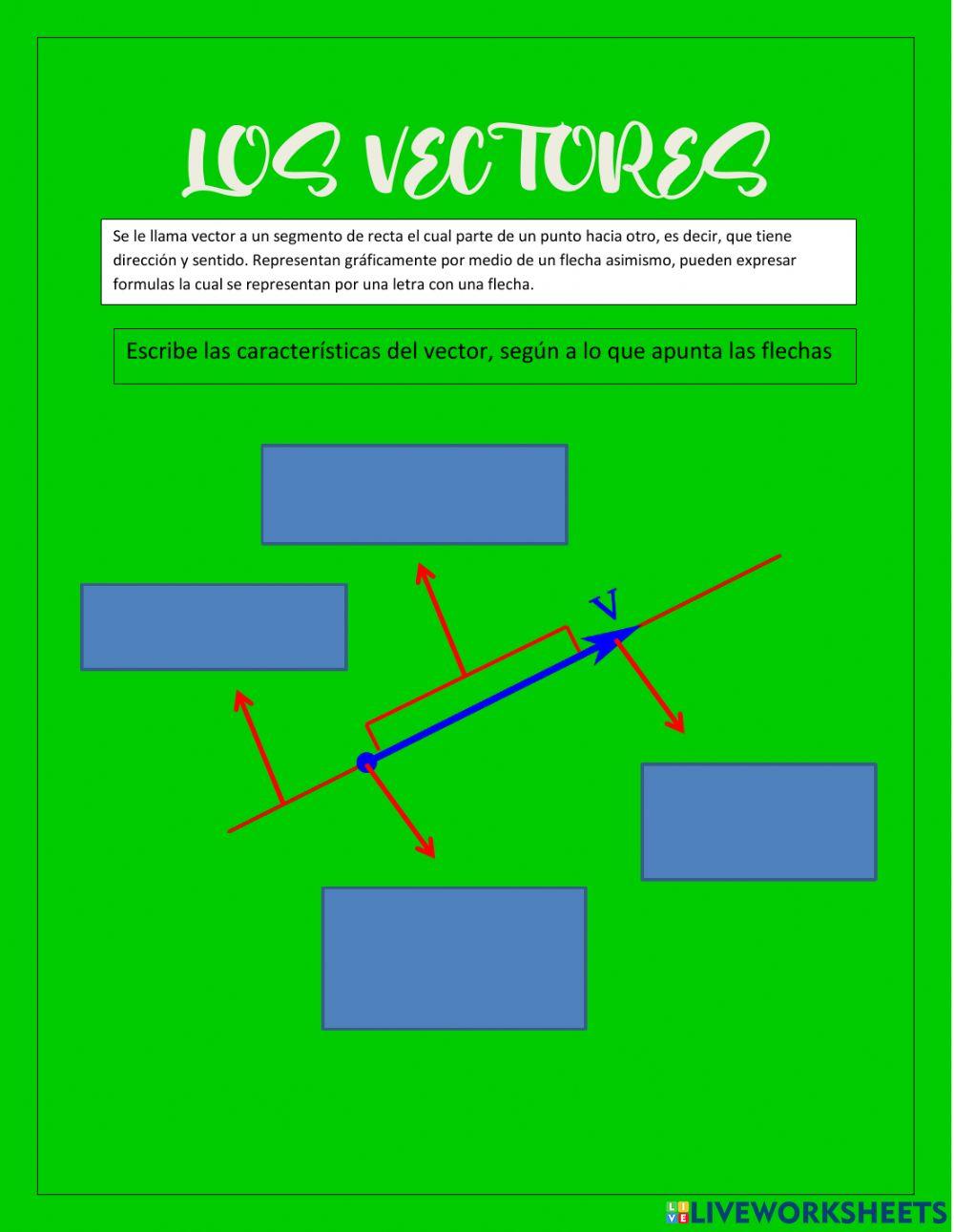 Caracteristicas del vector