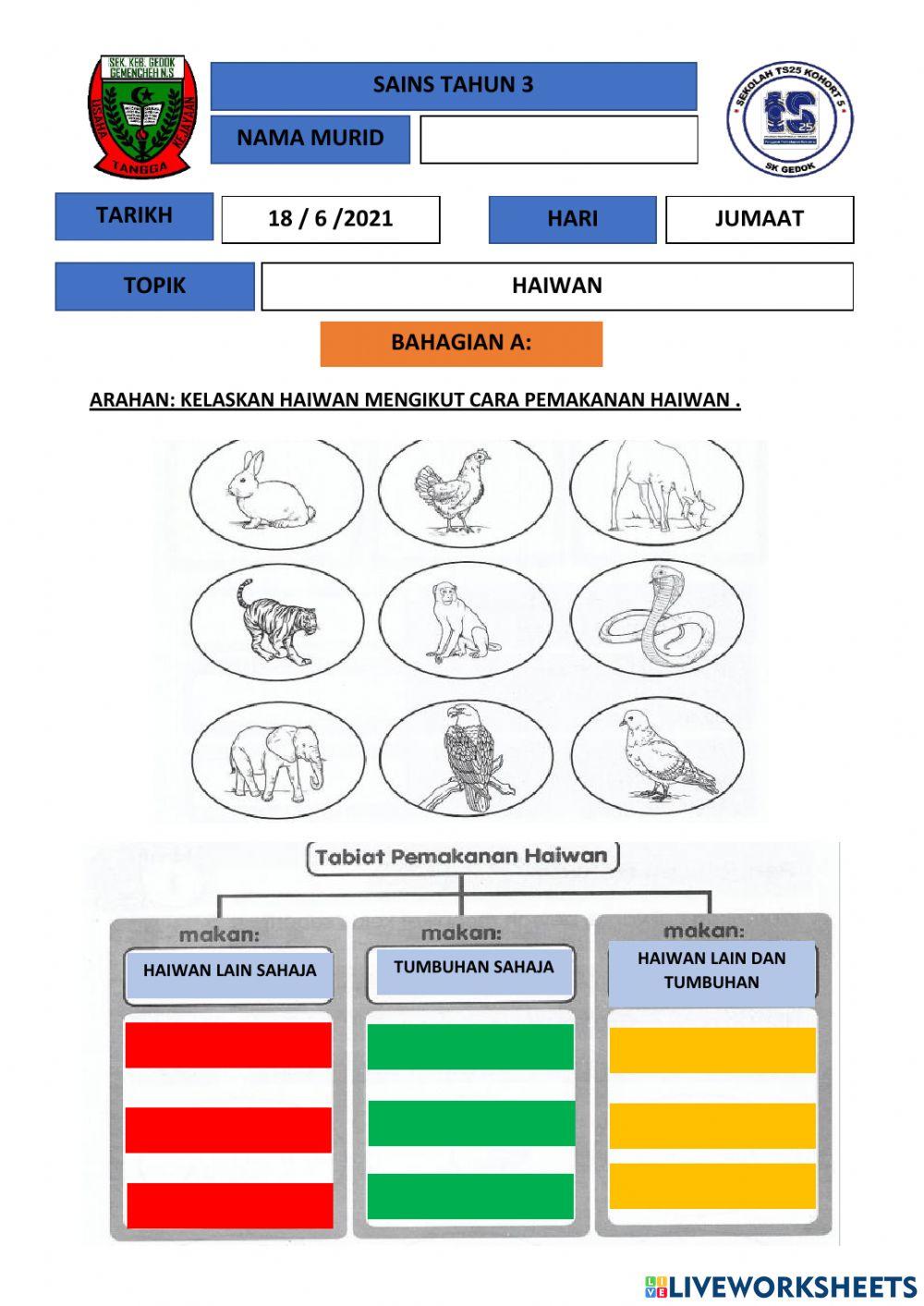Cara pemakanan haiwan