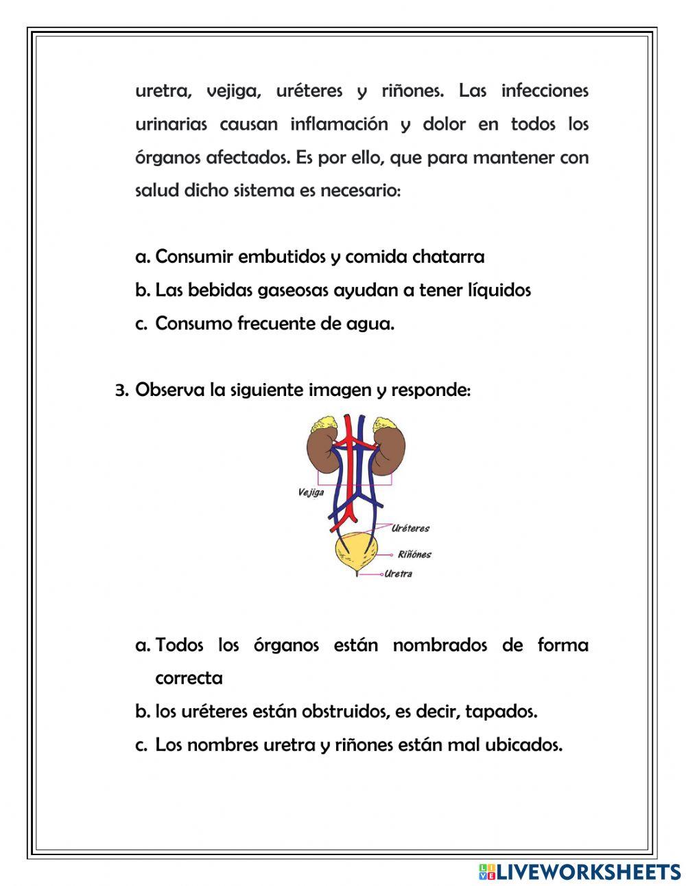 Evaluación de Naturales