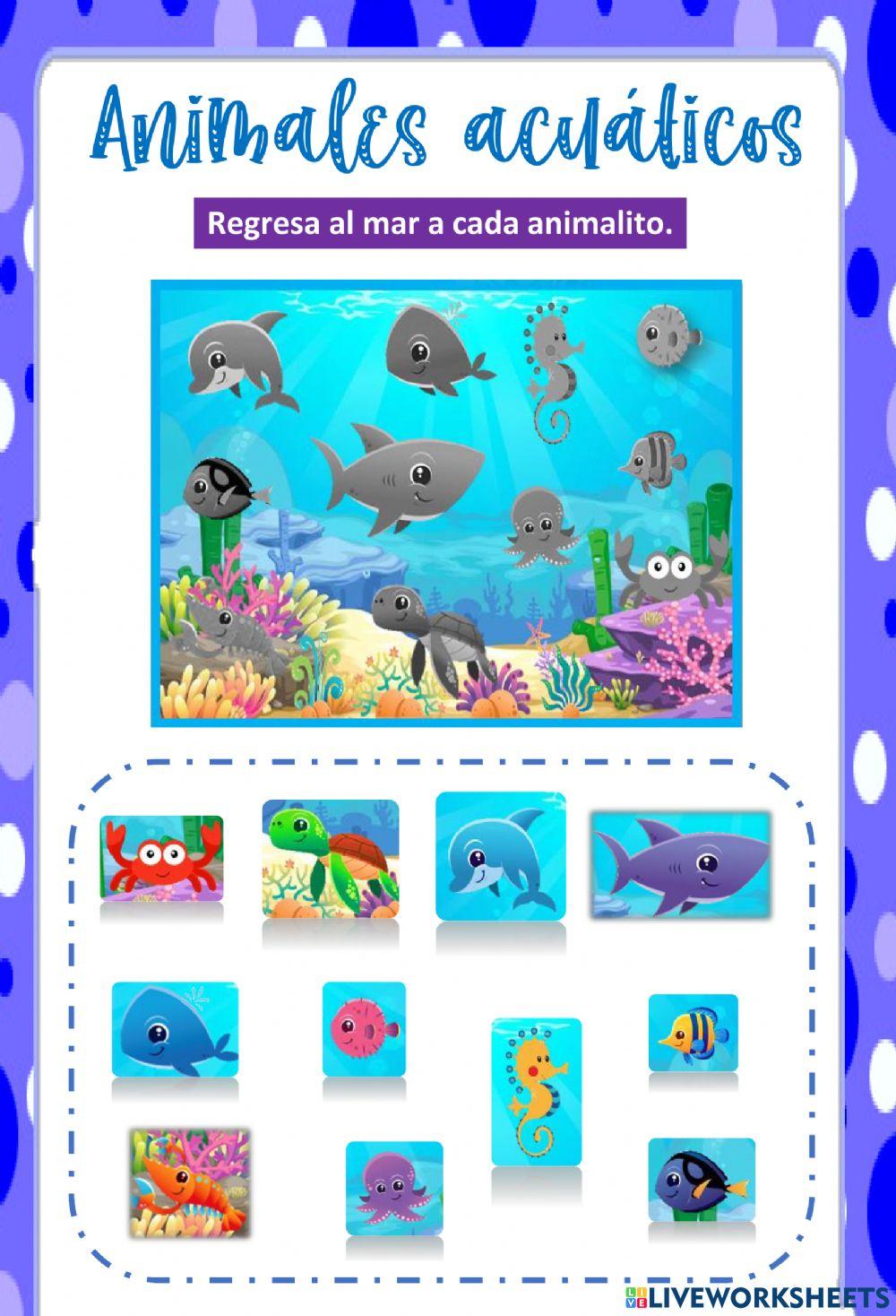 Evaluación de Naturales.