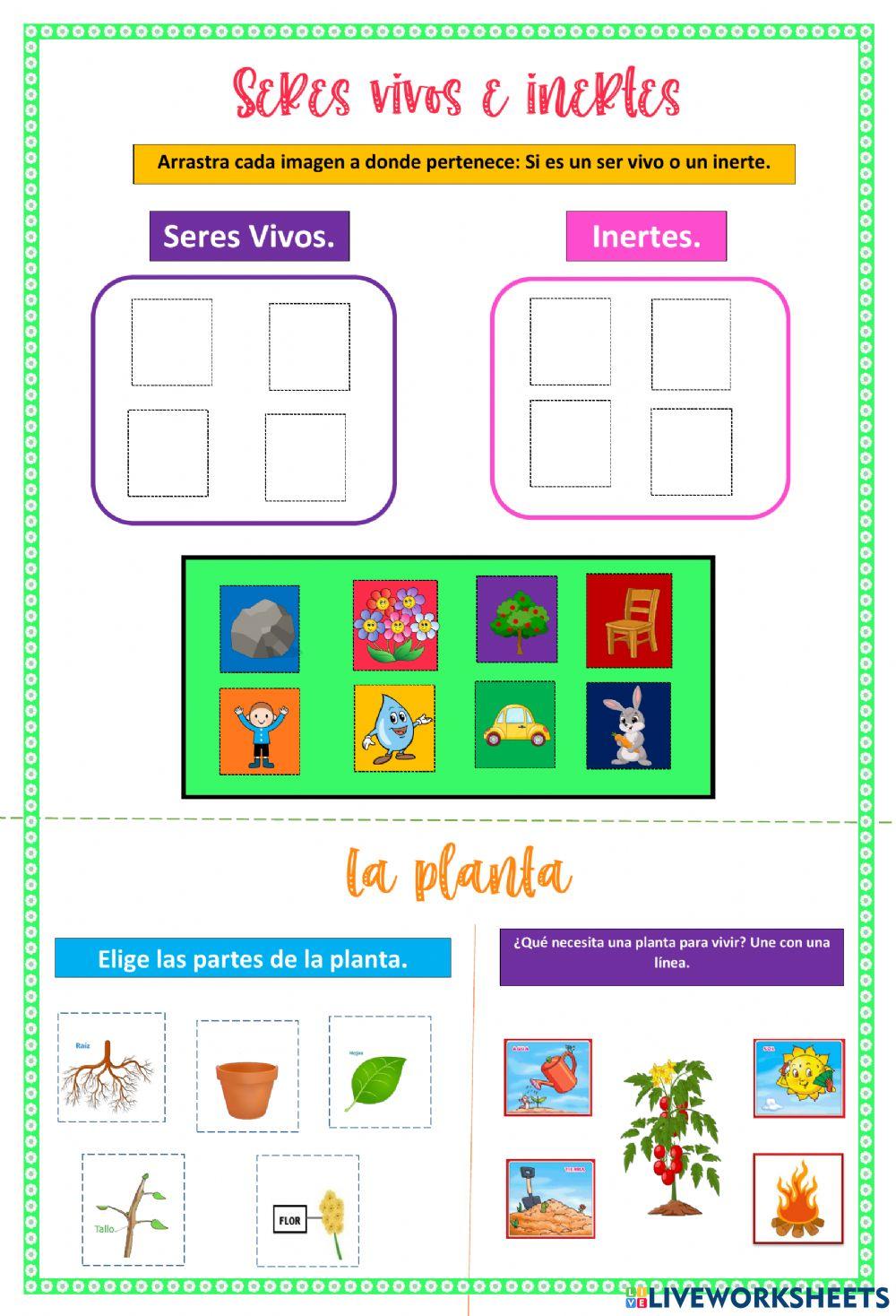 Evaluación de Naturales.