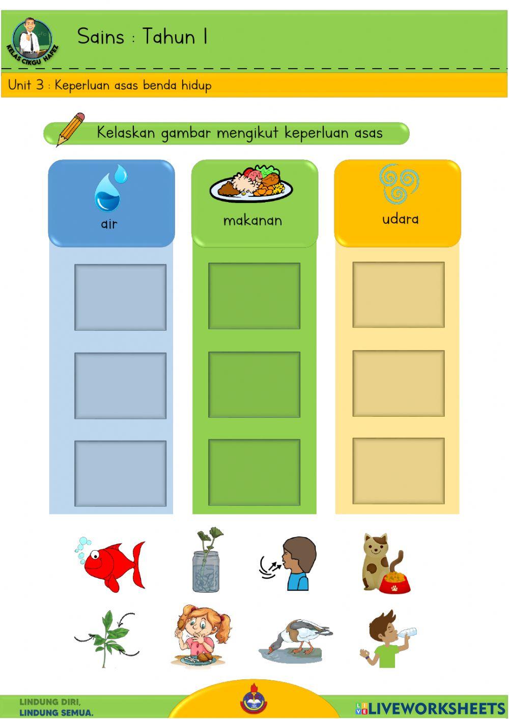 Sains T1 - Keperluan asas benda hidup