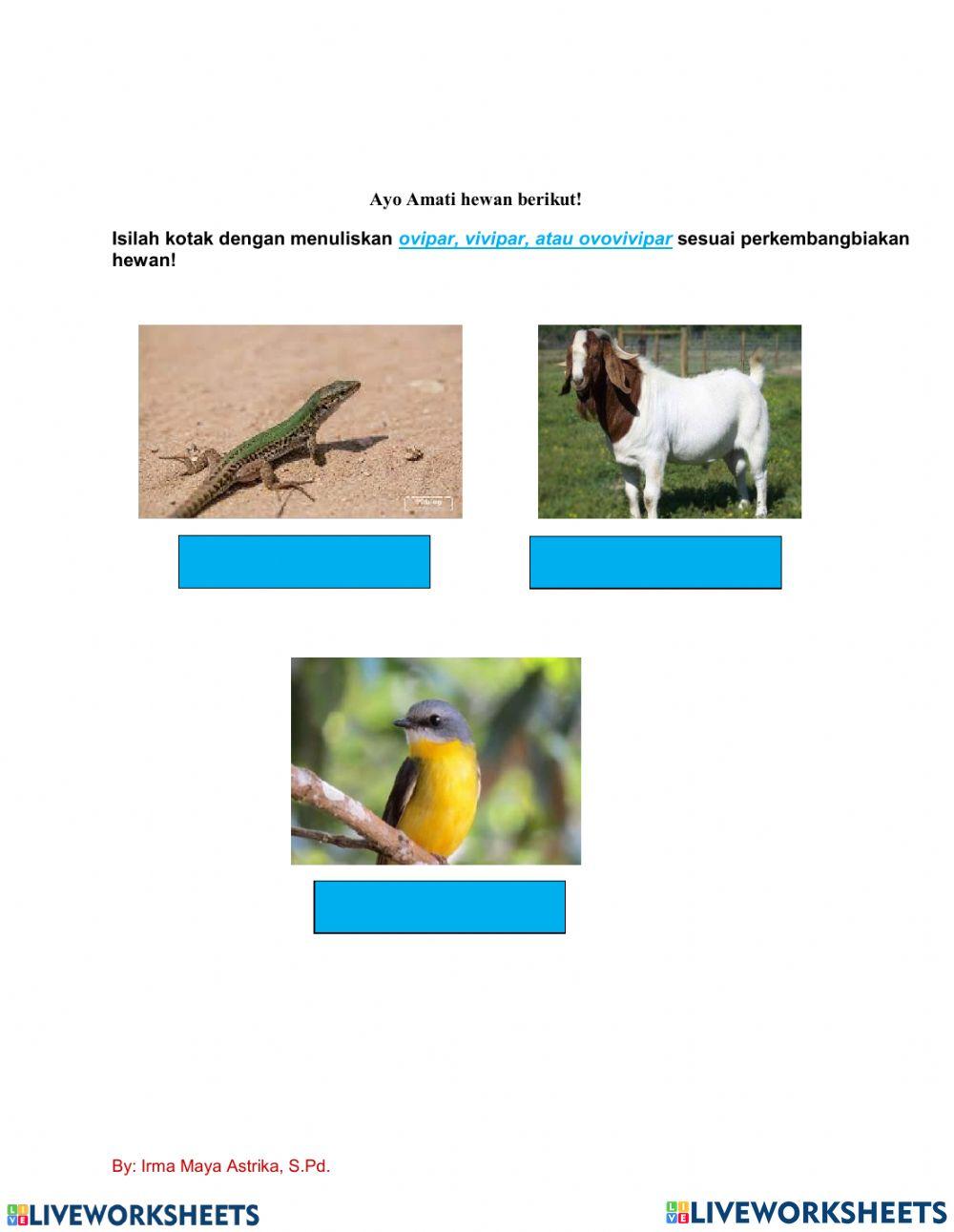 LKPD Tema 1 Sub 2 Pemb. 1