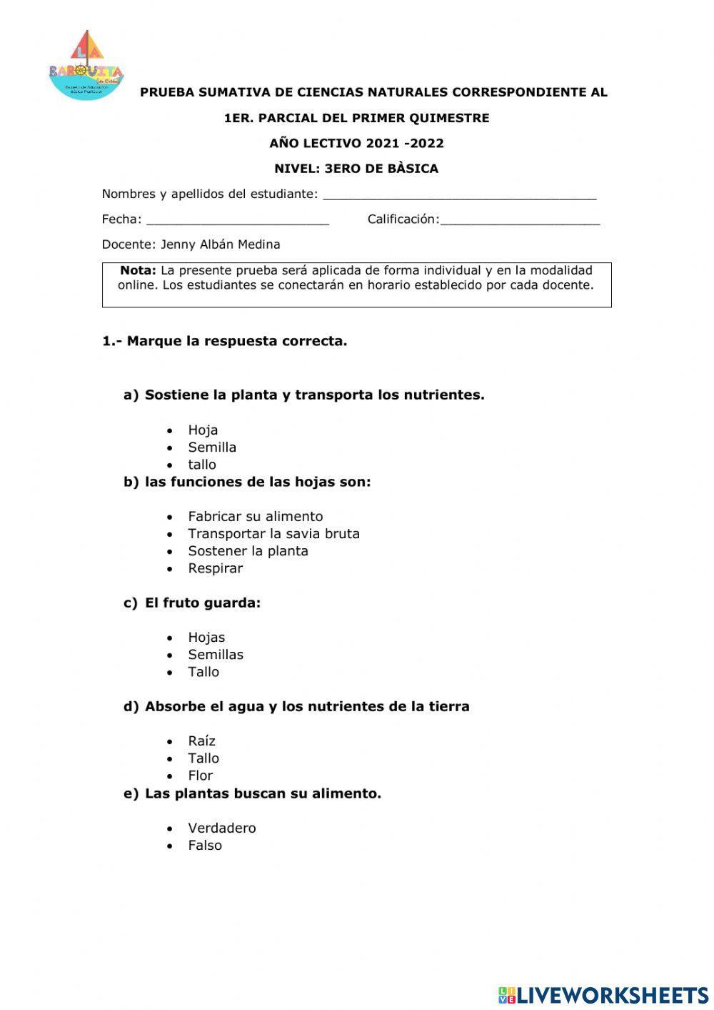 Funciones vitales de las plantas