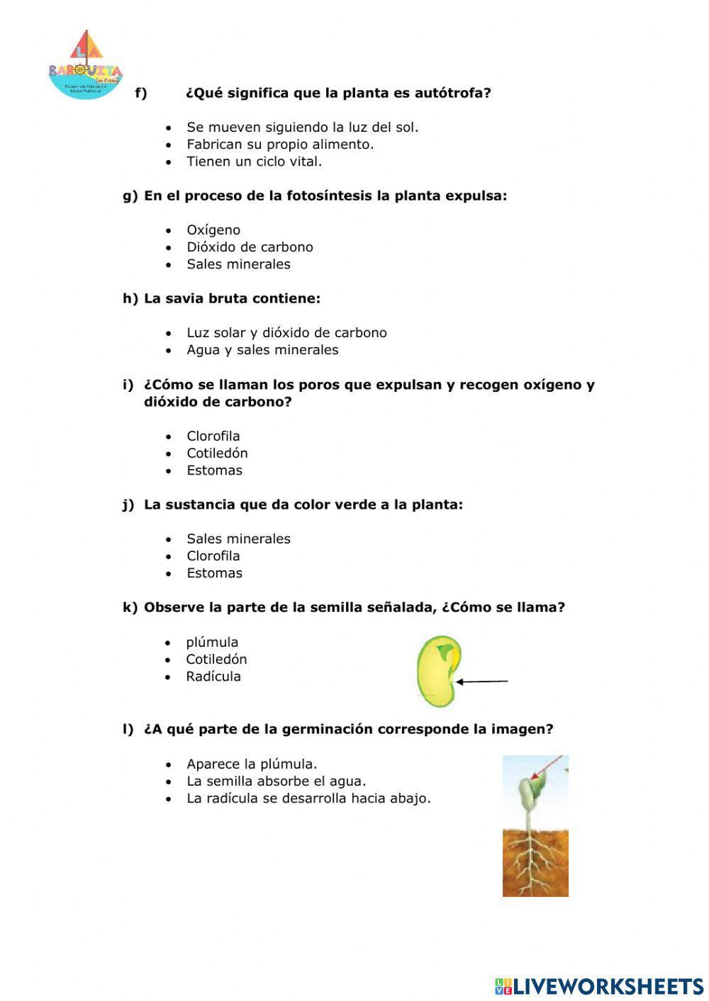 Funciones vitales de las plantas