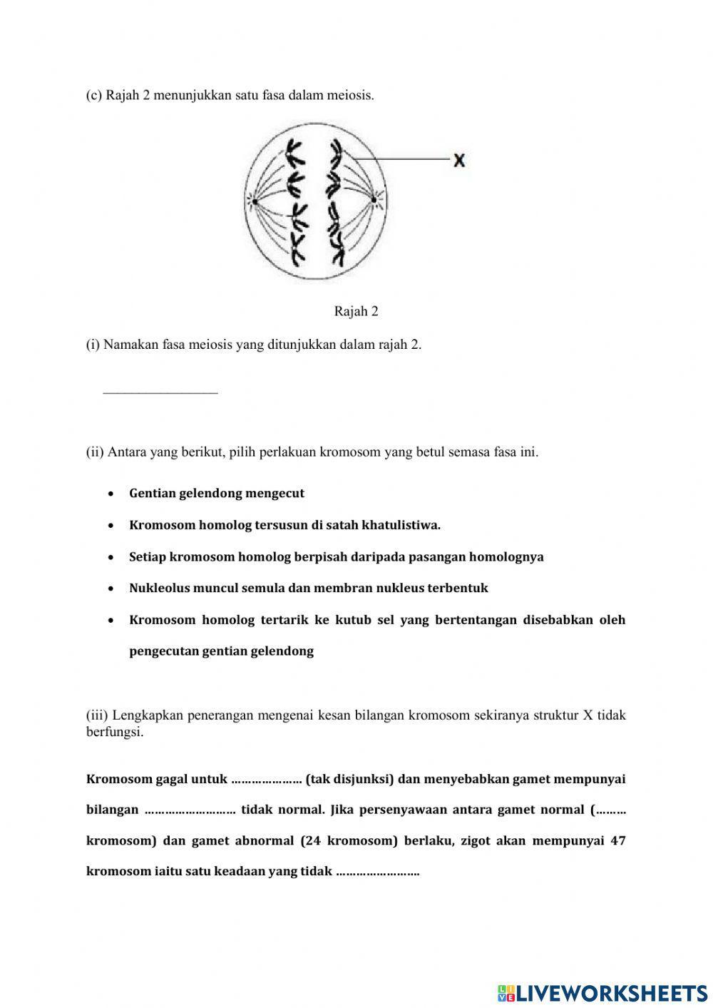 Latihan Pengukuhan Meiosis 