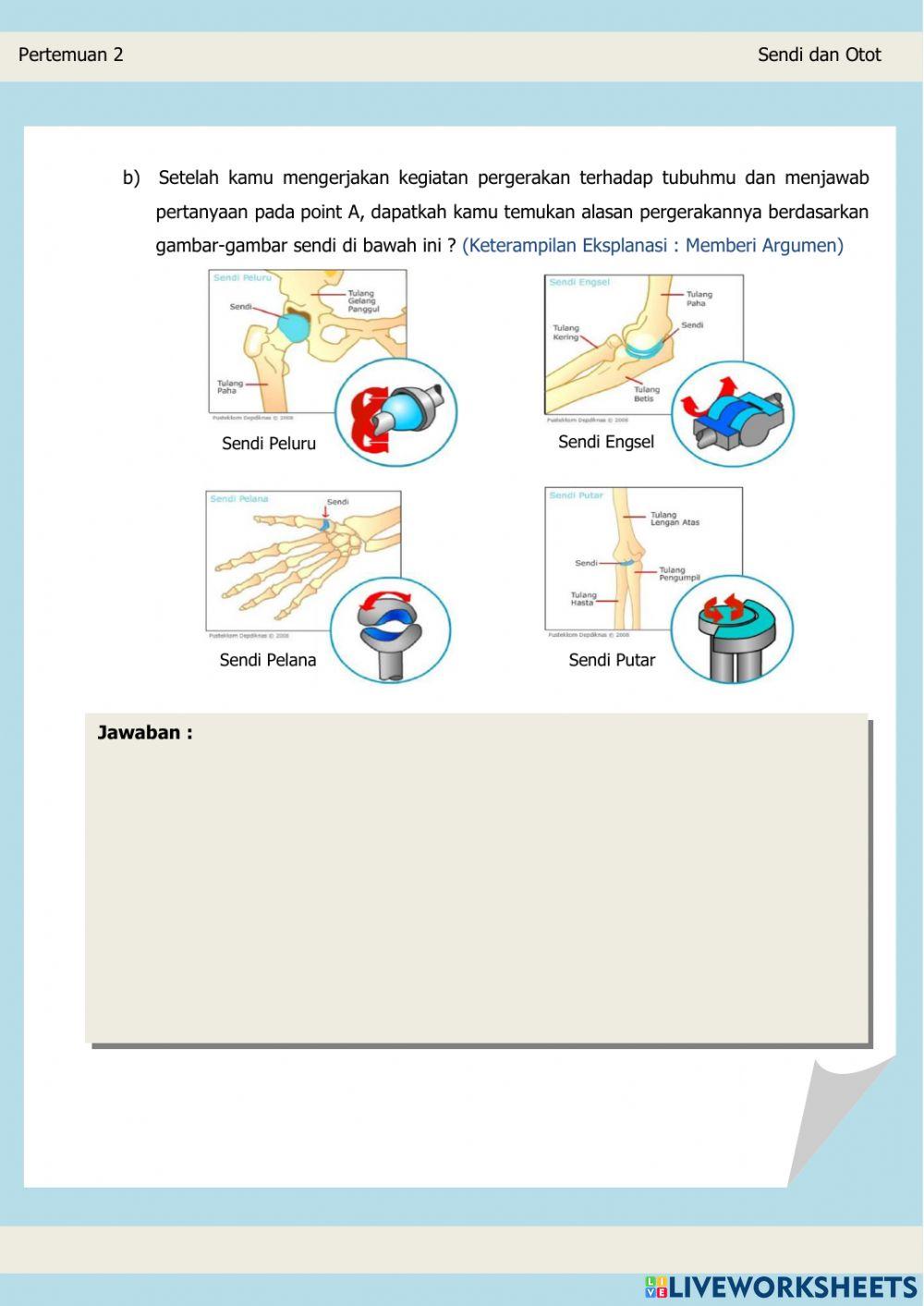 Lembar kerja peserta didik (sendi dan otot)