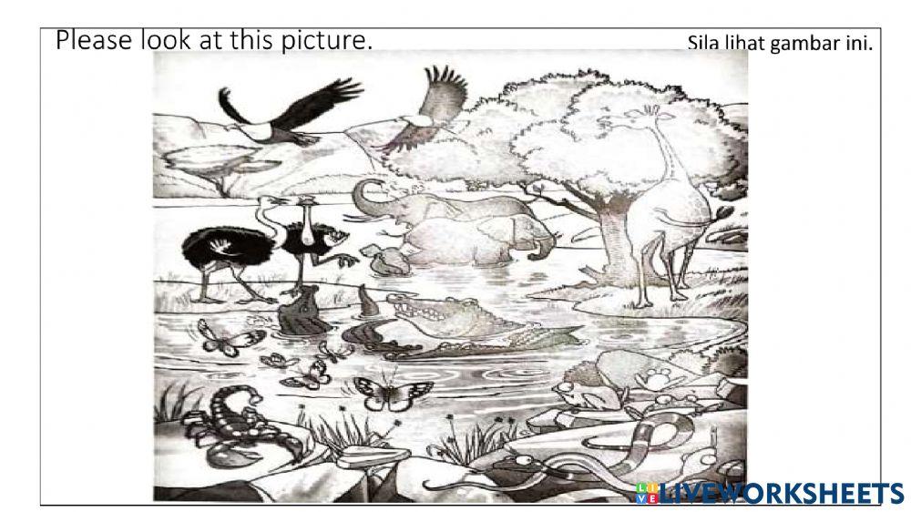 Unit 3: wild life grammar