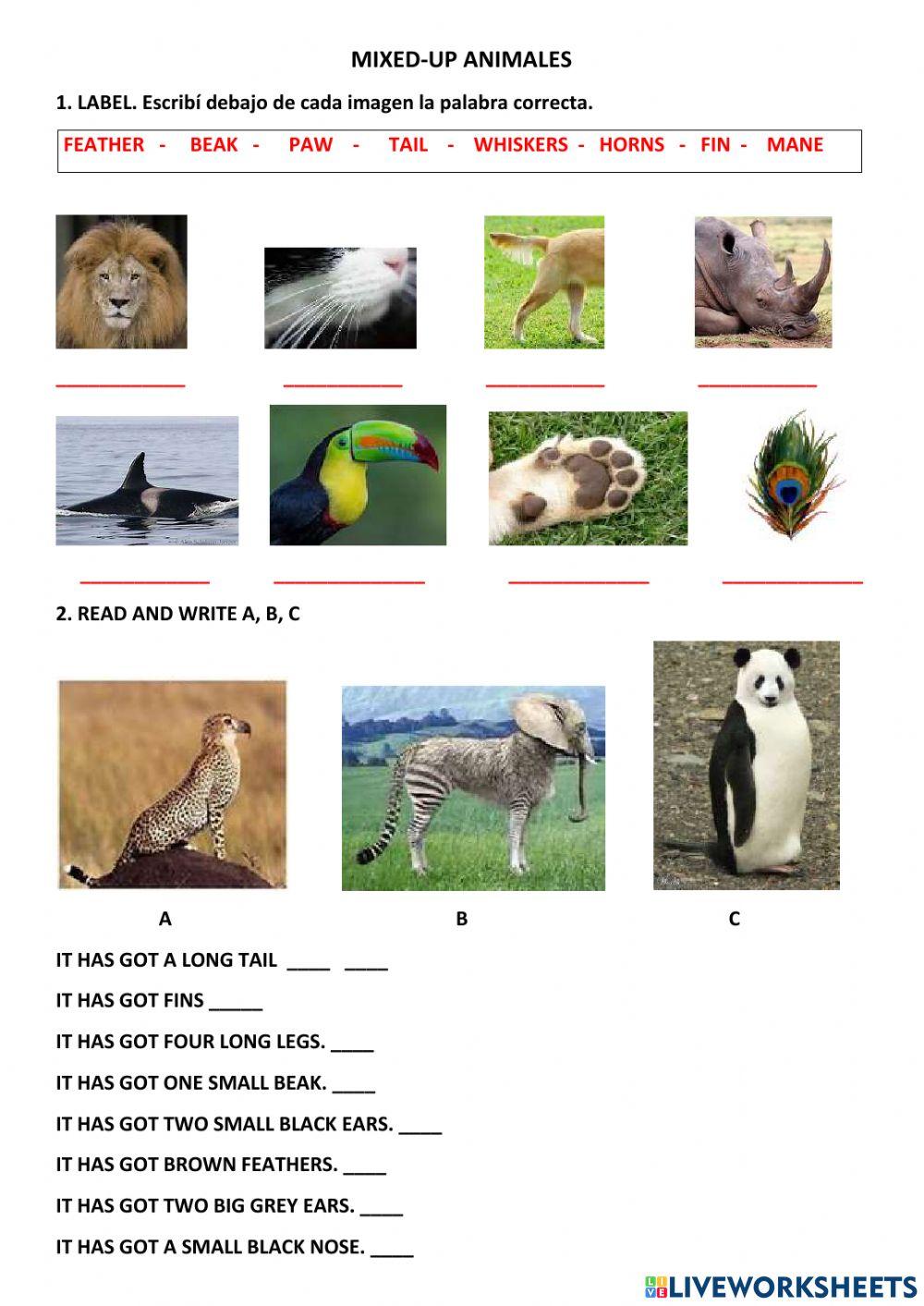 Animal body parts