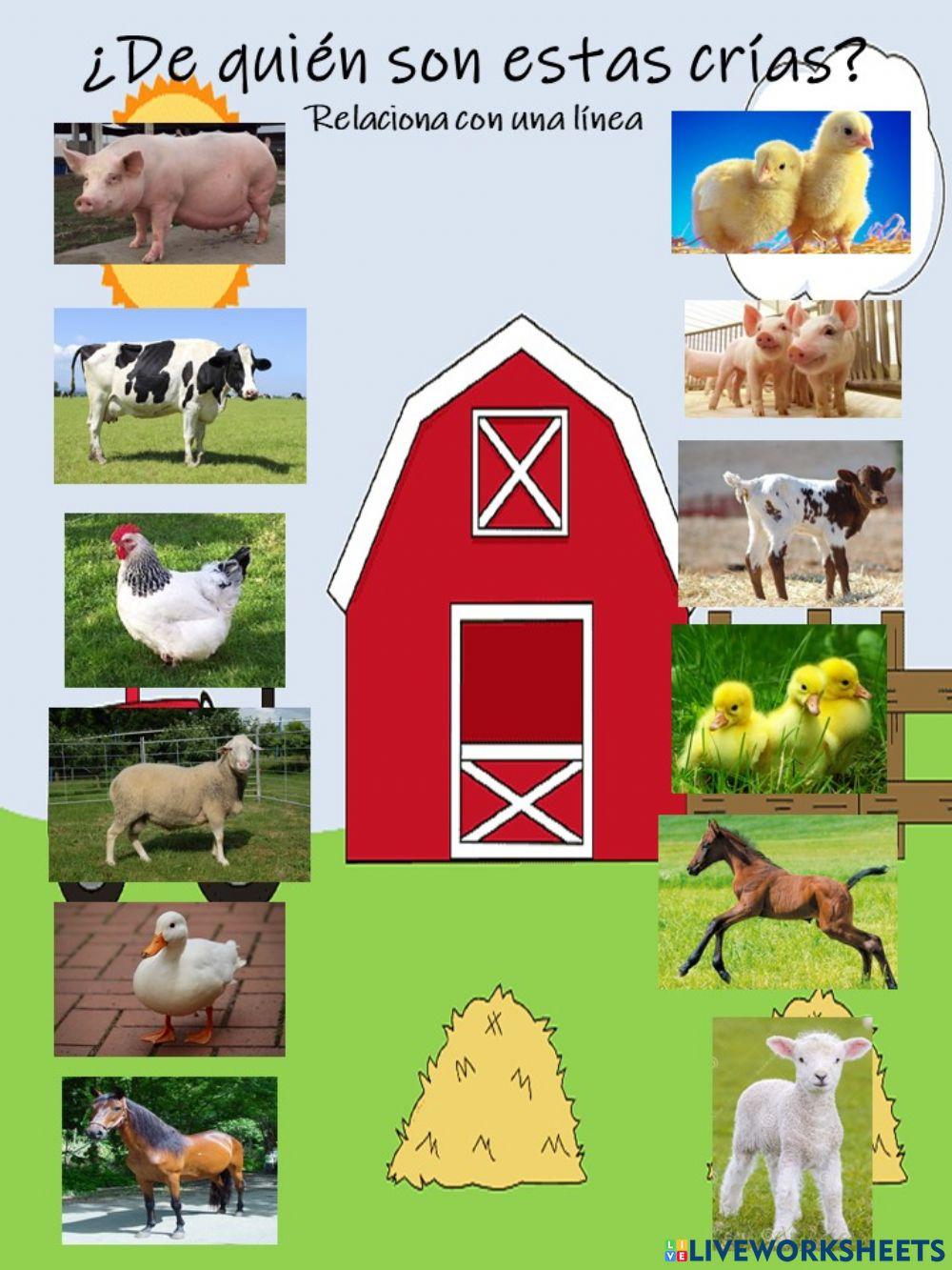 Animales y sus crias Animales y sus crias