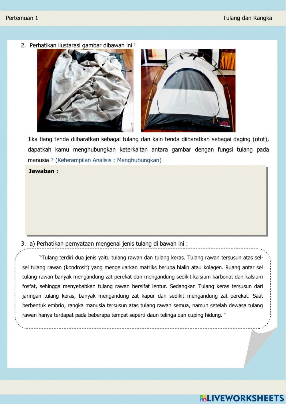 Lembar Kerja Peserta Didik (Tulang dan Otot)