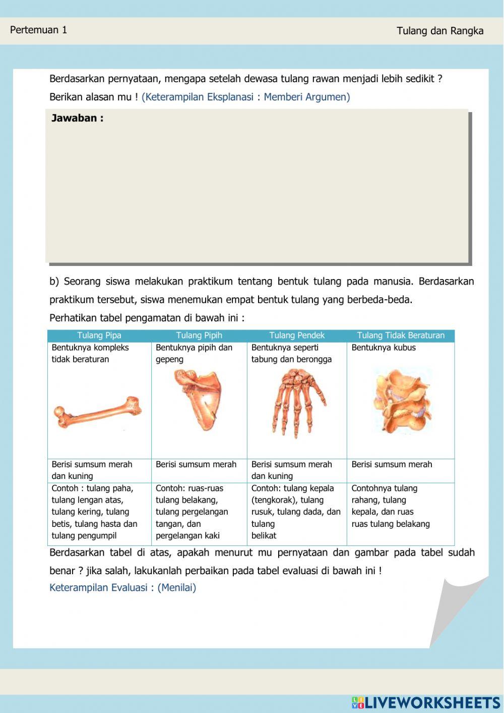 Lembar Kerja Peserta Didik (Tulang dan Otot)