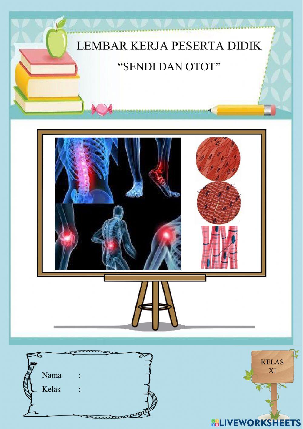 Lembar Kerja Peserta Didik (Sendi dan Otot)