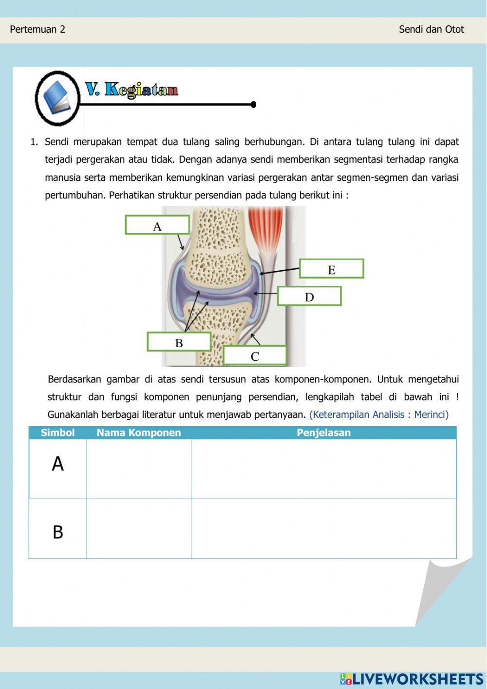 Lembar Kerja Peserta Didik (Sendi dan Otot)