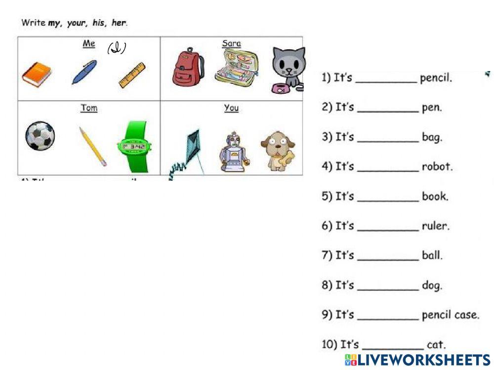 Possessive Adjective