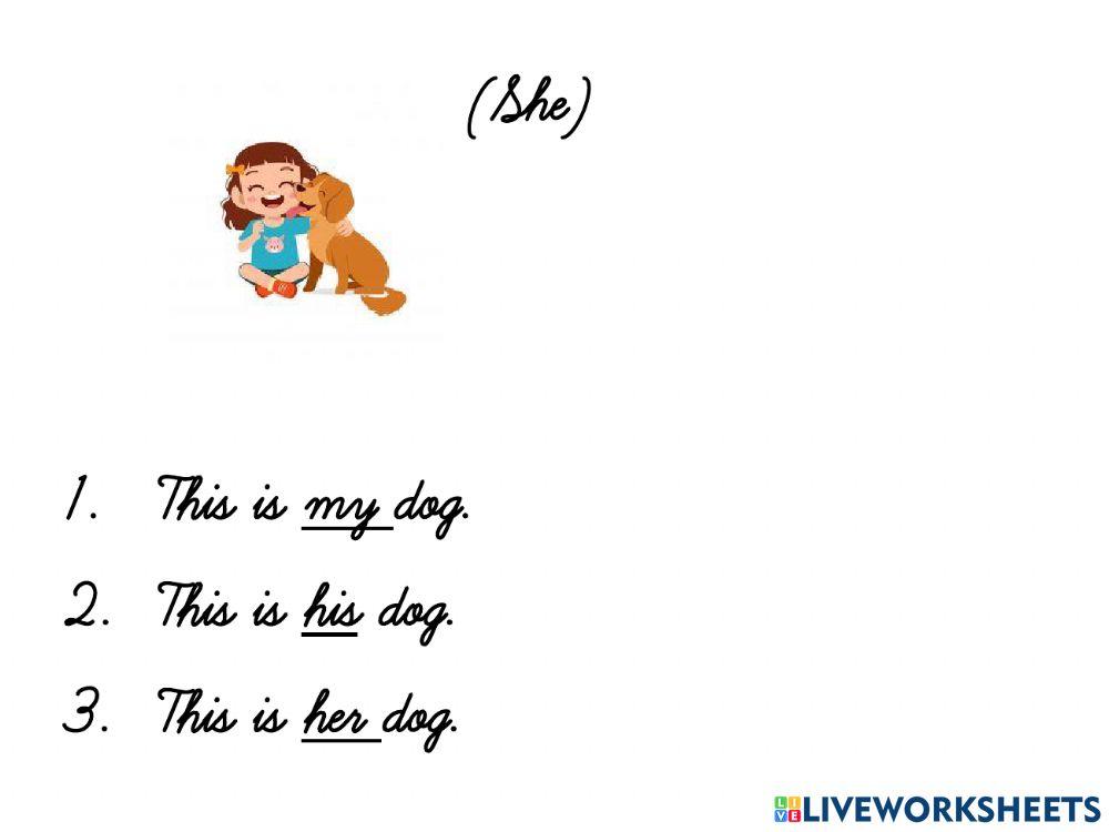 Possessive Adjective