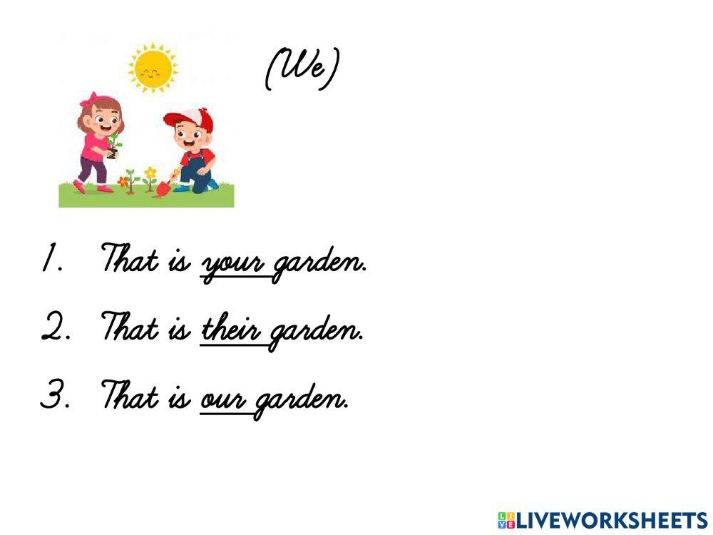 Possessive Adjective