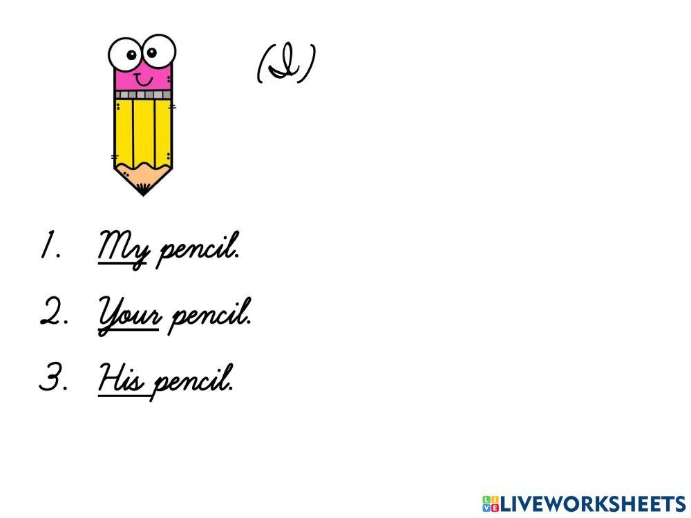 Possessive Adjective