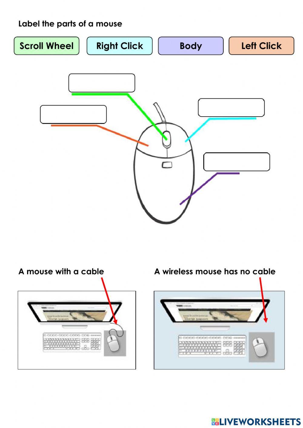 Using a computer mouse Using a computer mouse