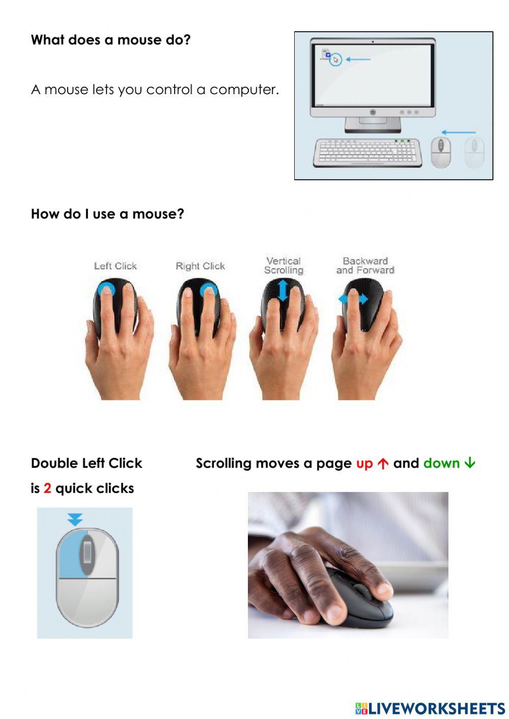 Using a computer mouse Using a computer mouse