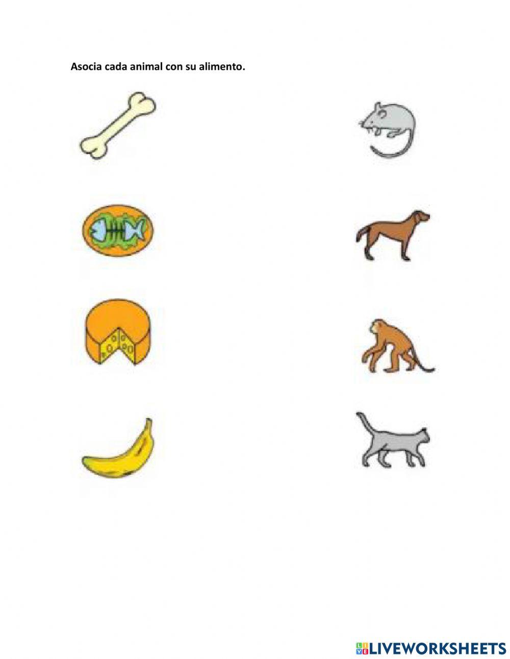 Asocia animal - alimento