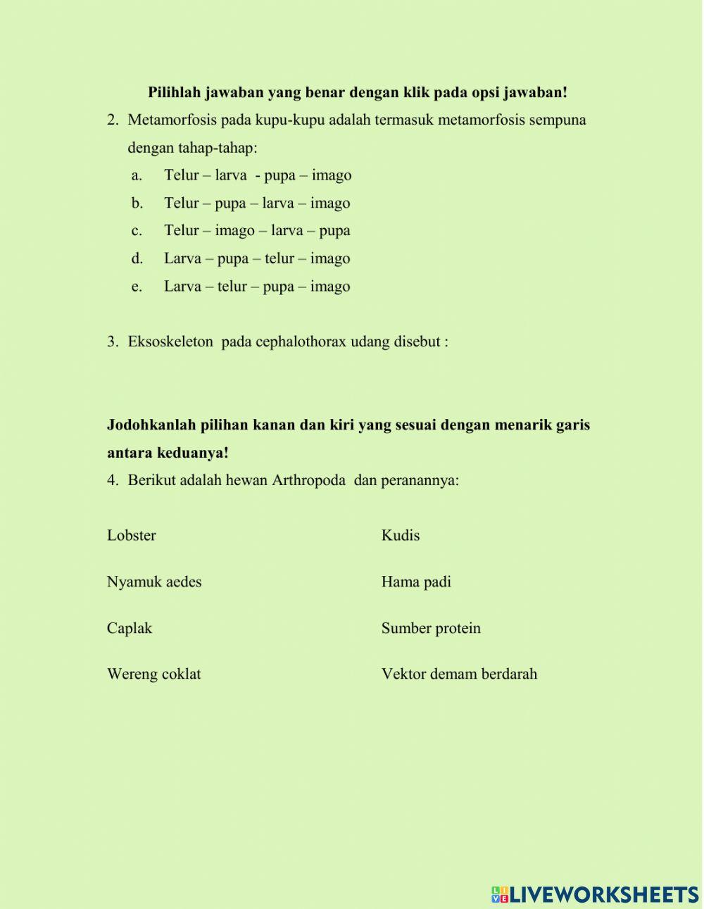 LKPD Arthropoda
