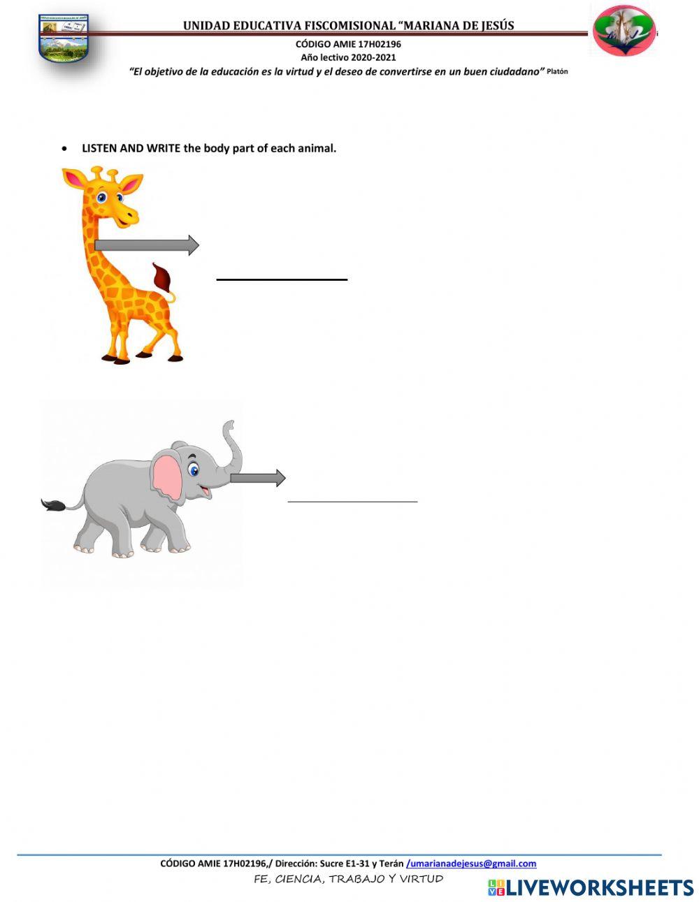 Test  grade 4 EXTRA CURRICULAR (A)