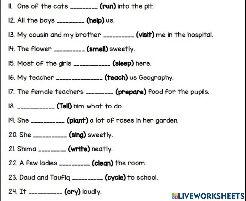 Singular and plural nouns 2