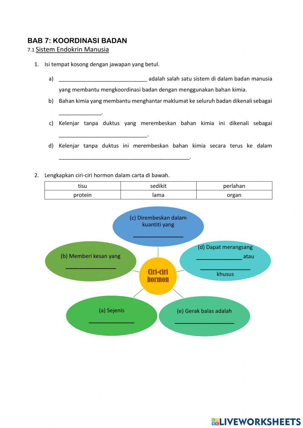 Sistem endokrin manusia