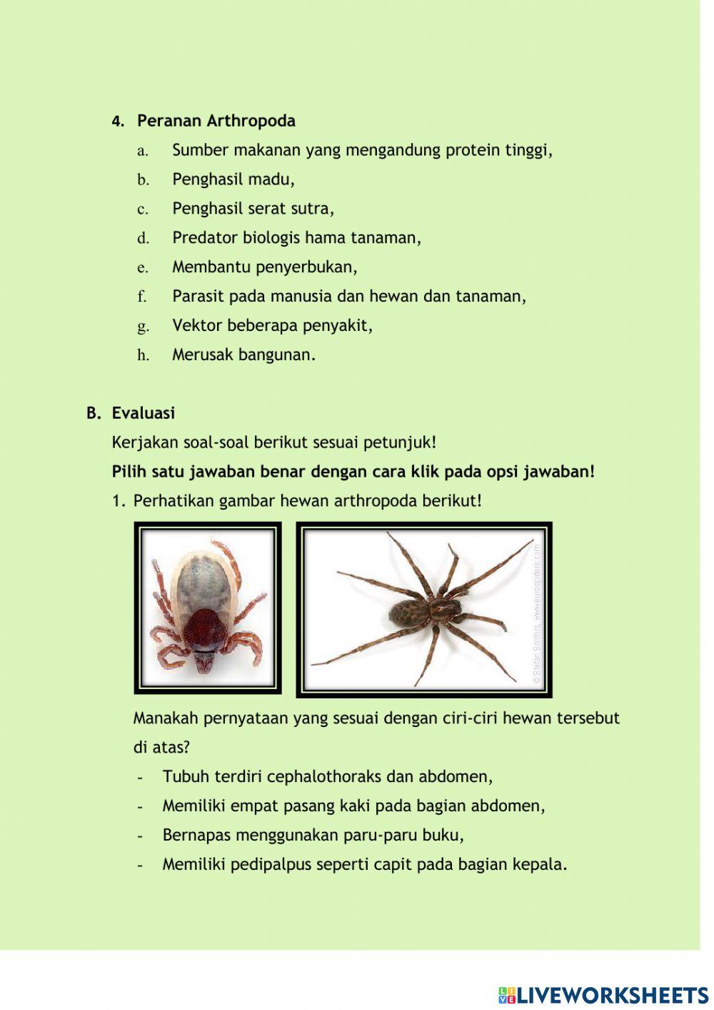 LKPD Arthropoda