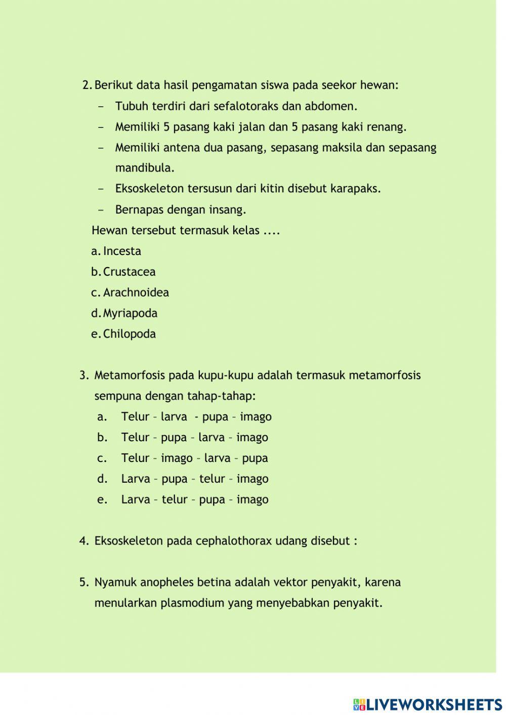 LKPD Arthropoda