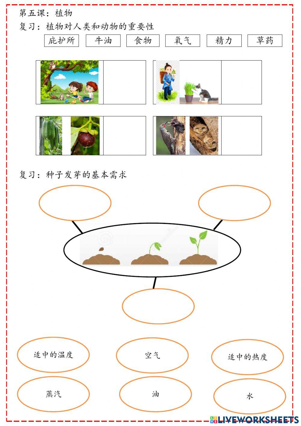 单元5：植物