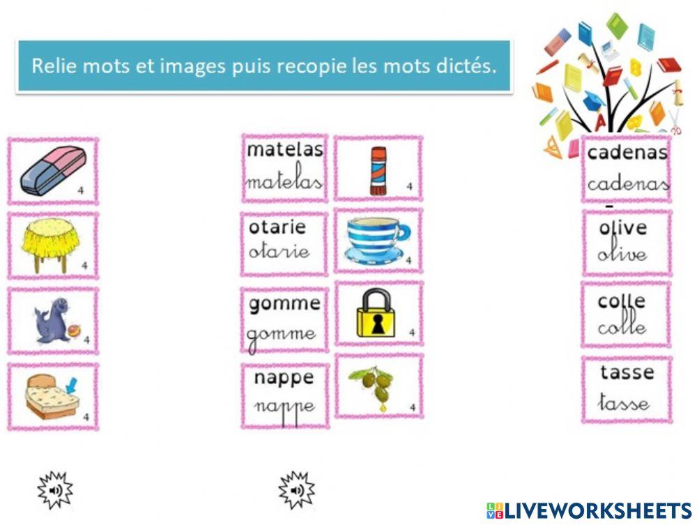 Vocabulaire lecture teacher geraldine3