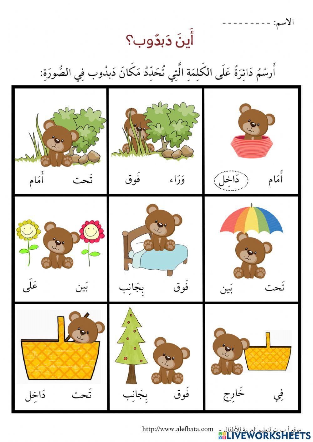 دبدوب في كل مكان