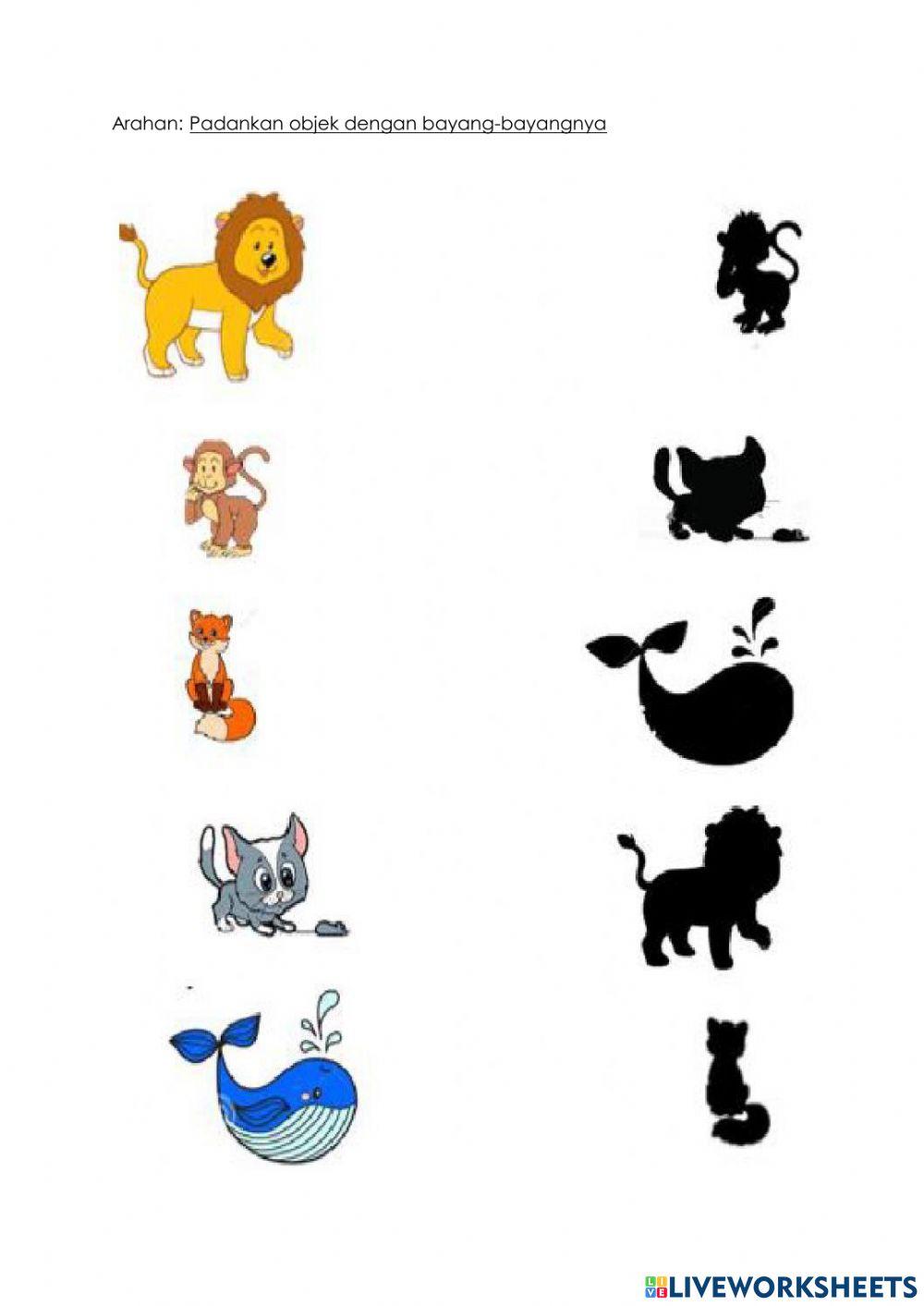 Cahaya -bayang-bayang