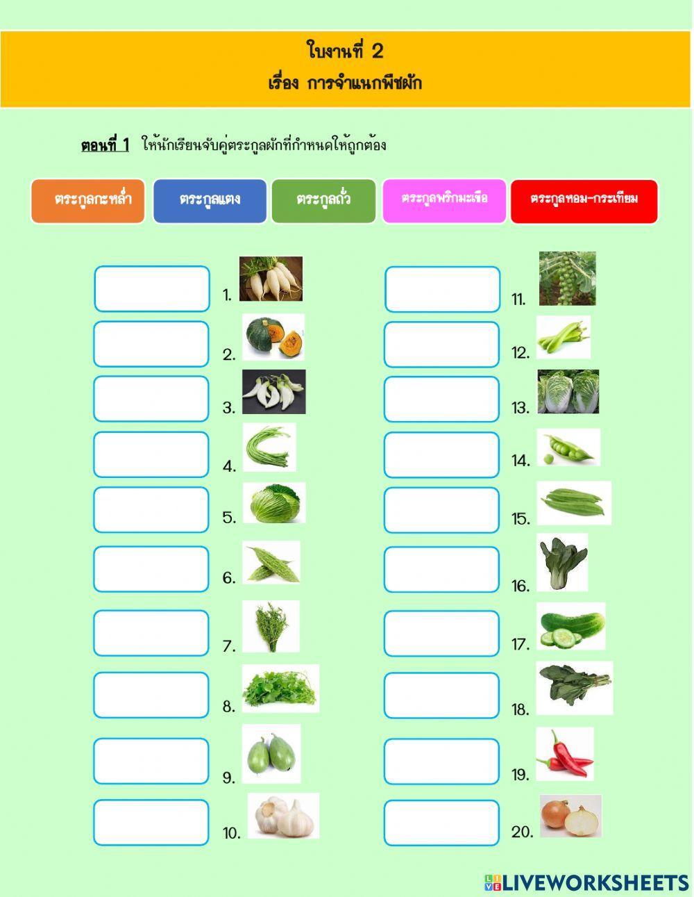 ใบงาน 2 (วิชาการปลูกพืชผัก ม.2)
