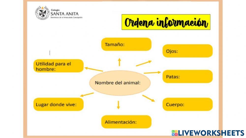 Organiza información