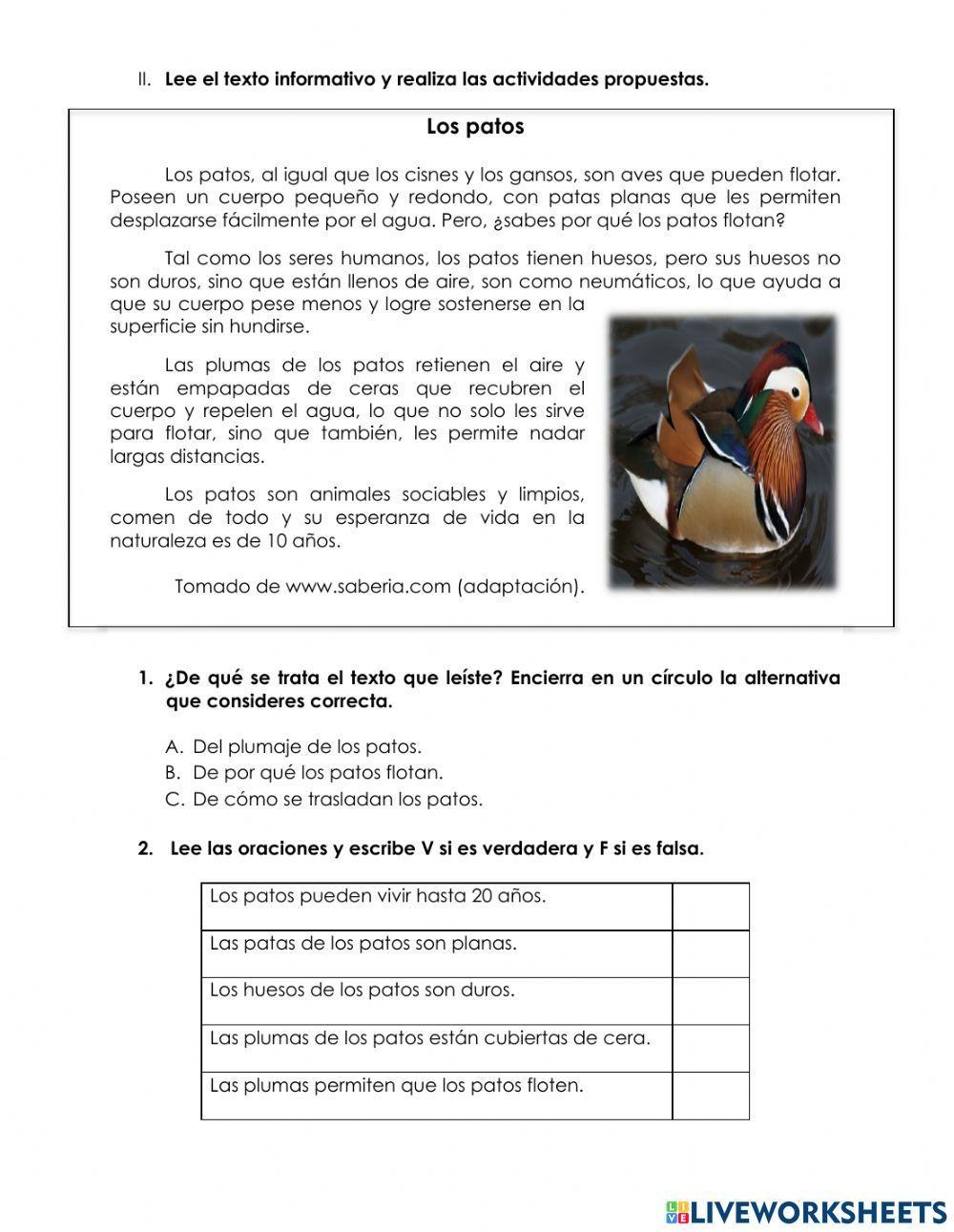 Comprensión Lectura 2° Básico