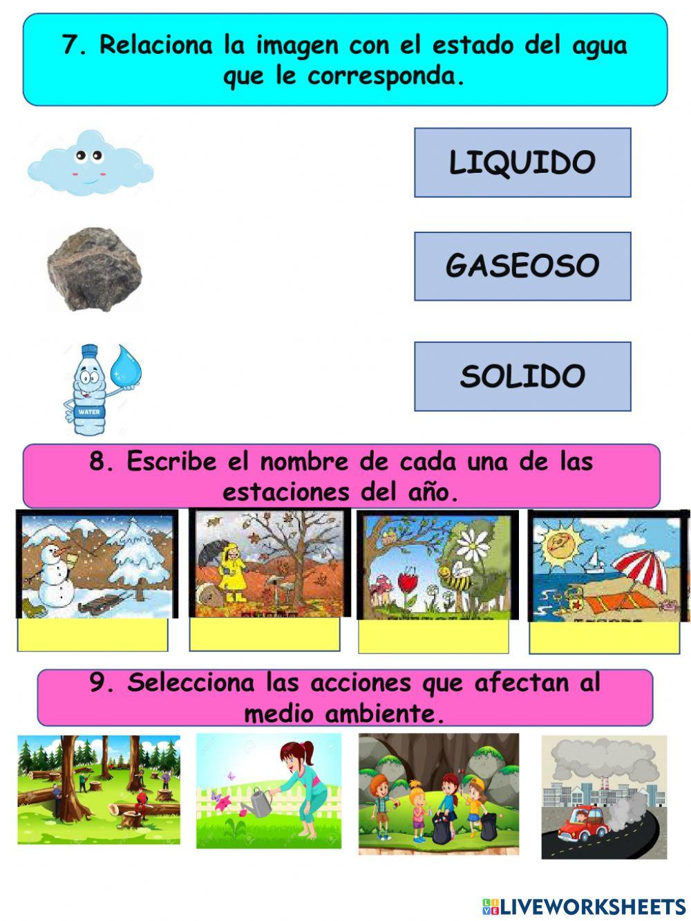 Actividades de conocimiento