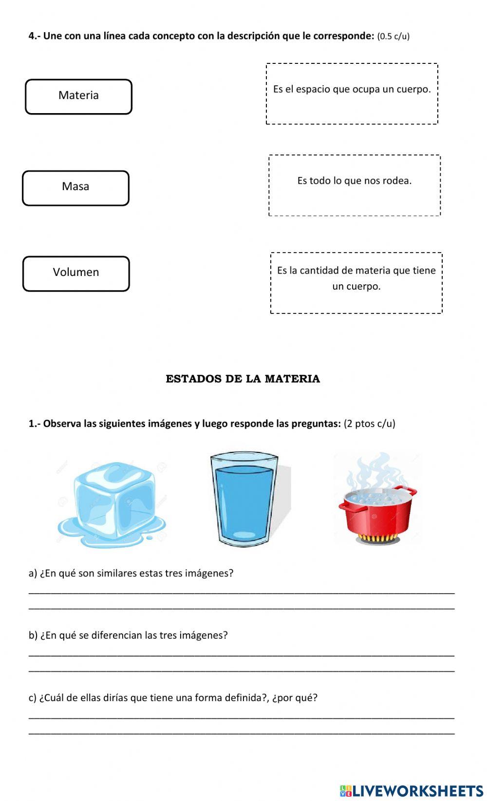 Guia trabajo la materia