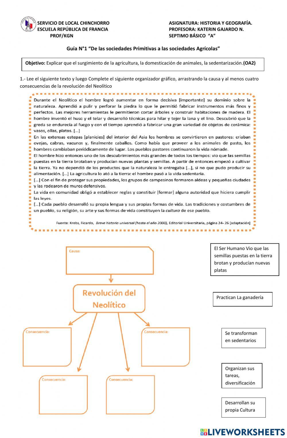 Características del neolítico