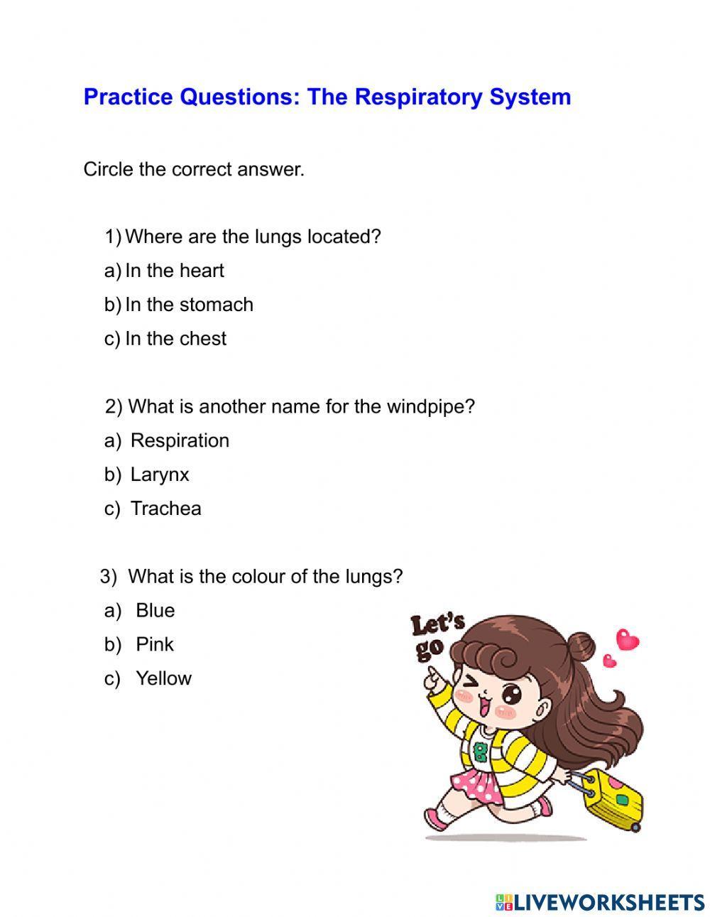 The Respiratory and Digestive System
